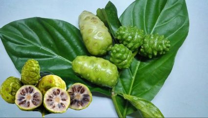 nhàu ngâm mật ong