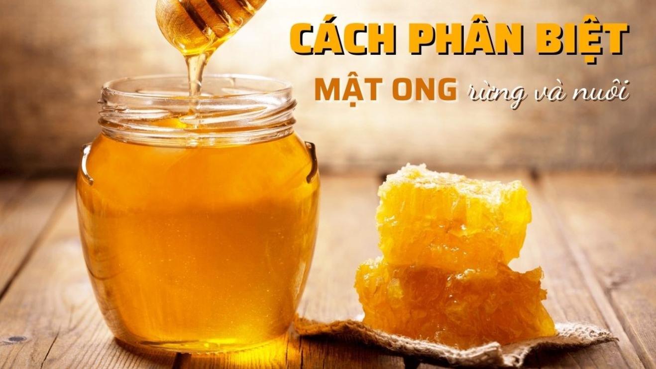 Các tiêu chí phân biệt mật ong rừng và mật ong nuôi