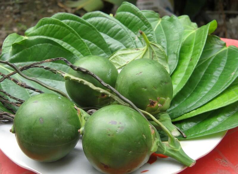 Làm trắng răng tại nhà bằng vỏ quả cau